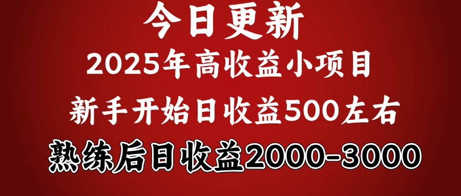 好项目一眼就能看出来,日收益1000,长久可做,2025拼的就是我比你勤奋网创吧-网创项目资源站-副业项目-创业项目-搞钱项目网创吧
