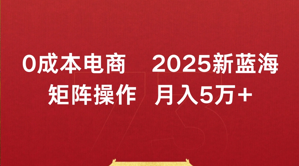 0成本电商2025新蓝海矩阵操作 月入5万+网创吧-网创项目资源站-副业项目-创业项目-搞钱项目网创吧