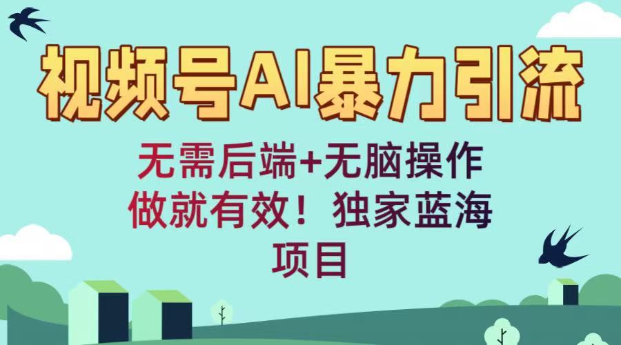 视频号AI暴力引流：无需后端+无脑操作，做就有效！独家蓝海项目网创吧-网创项目资源站-副业项目-创业项目-搞钱项目网创吧