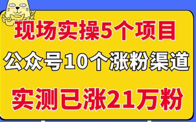 现场实操5个公众号项目,10个涨粉渠道,实测已涨21万粉!网创吧-网创项目资源站-副业项目-创业项目-搞钱项目网创吧