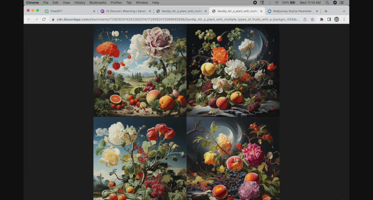 ChatGPT4 和 MidJourney AI 绘画聊天革命性指南教程-33节视频课-中英字幕网创吧-网创项目资源站-副业项目-创业项目-搞钱项目网创吧