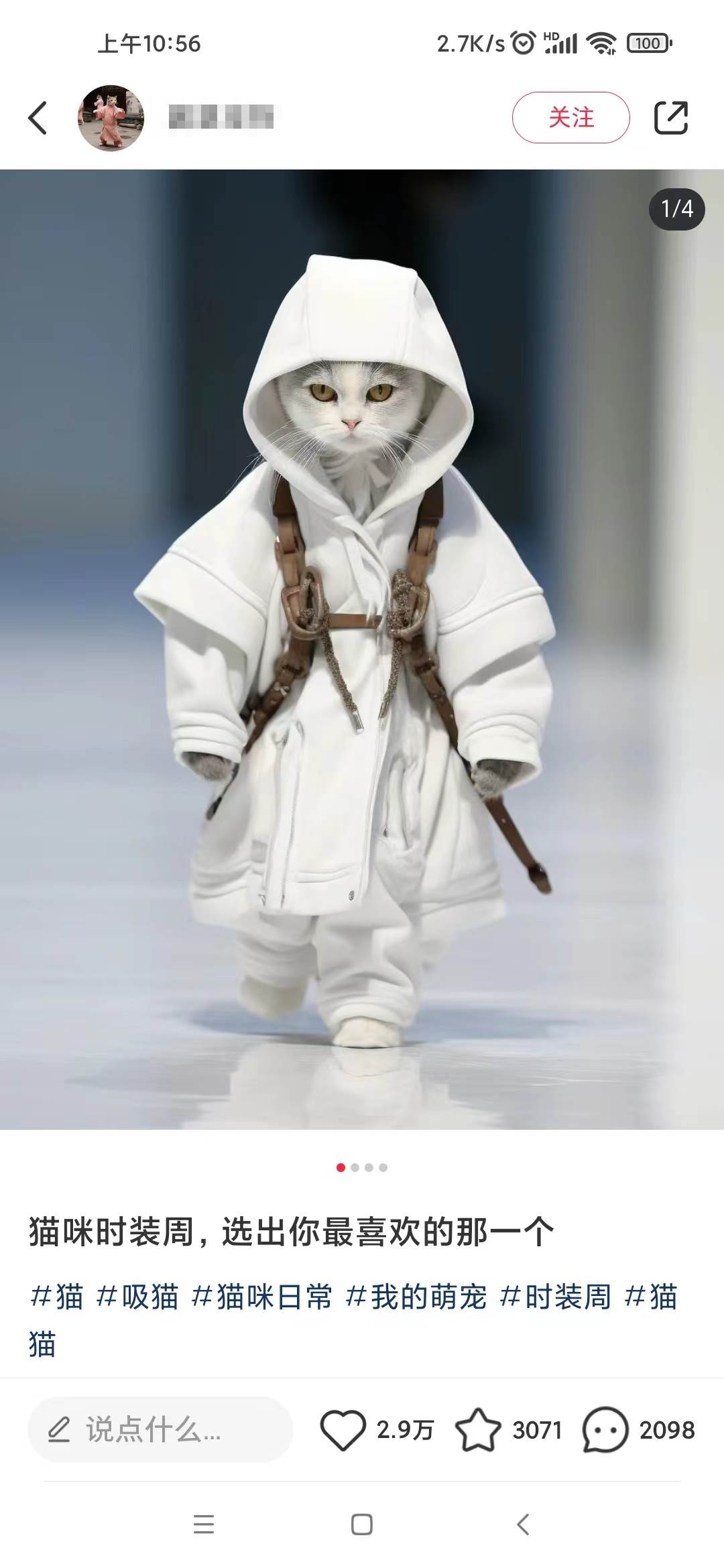 小红书最新爆款项目，Animal秀，7天变现1w+网创吧-网创项目资源站-副业项目-创业项目-搞钱项目网创吧